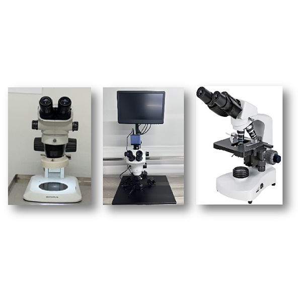 显微镜<br>Microscope